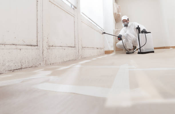 24/7 Emergency Attic Mold Removal experts in Ivor, VA