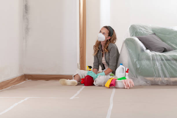 Trusted Black Mold Removal service in Ivor, VA - Cheap Mold Removal